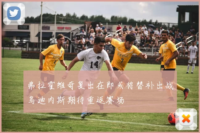 弗拉霍维奇复出在即或将替补出战乌迪内斯期待重返赛场
