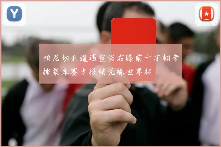 帕尼切利遭遇重伤右膝前十字韧带撕裂本赛季报销无缘世界杯