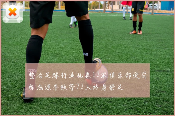 整治足球行业乱象13家俱乐部受罚陈戌源李铁等73人终身禁足